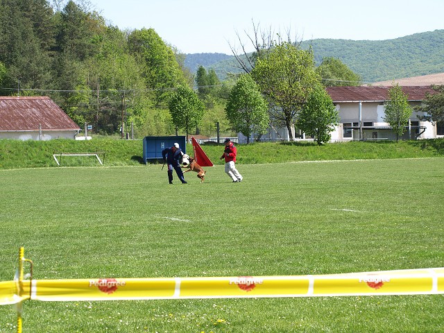 www.atibox.net * www.euroboxer.eu * www.boxergenealogia.eu